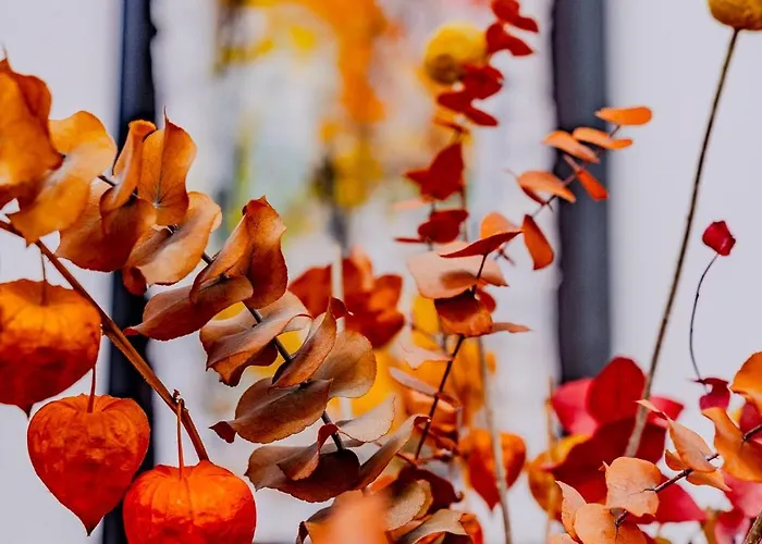 Ca' San Giacomo Appartement *